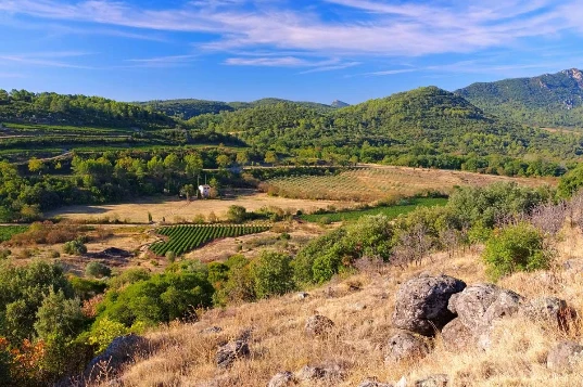 Chemins de Compostelle : Lodève - Castres - Photo 2