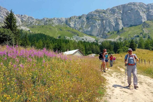Rando & Bien Etre dans le Vercors - Photo 6