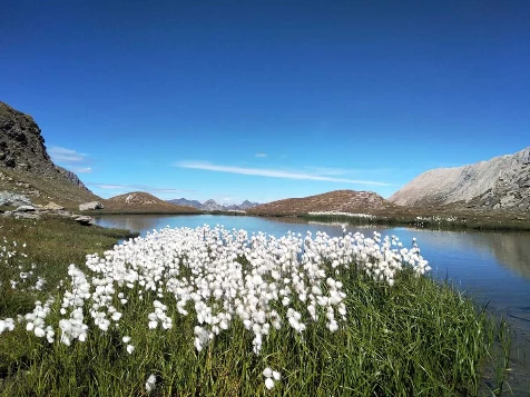 Les Balcons du Queyras 7 jours - Photo 1