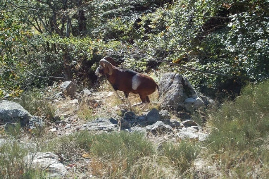 Rando & balnéo dans le Caroux - Photo 5