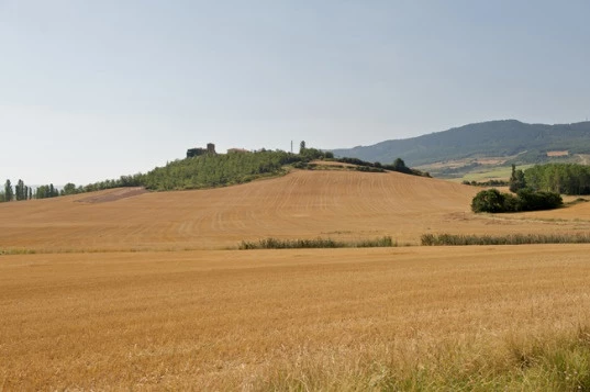 Chemins de Compostelle : Logrono - Burgos - Photo 4
