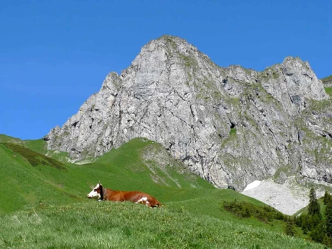 Rando & Balnéo Léman en liberté - Photo 9