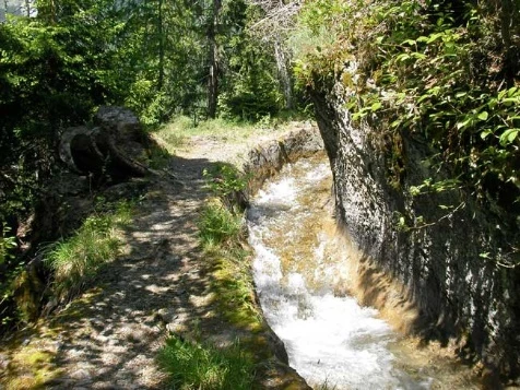 Les Bisses du Valais en Liberté - Photo 8