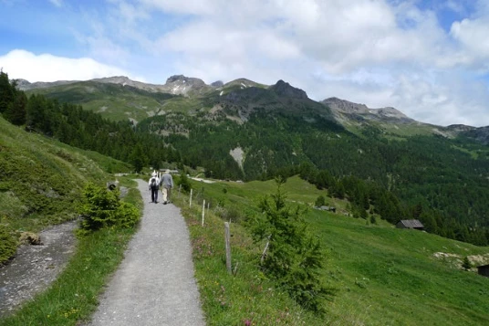Les Bisses du Valais en Liberté - Photo 6