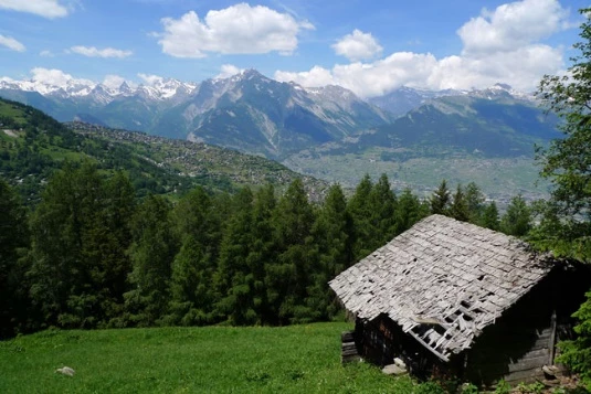 Les Bisses du Valais en Liberté - Photo 3