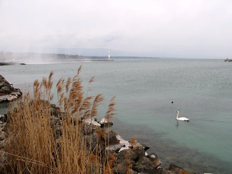 Chemins de Compostelle : Genève - St Genix sur G - Photo 9