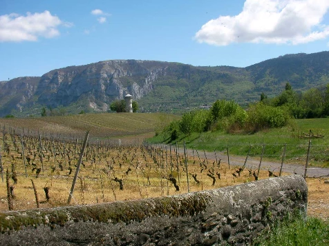 Chemins de Compostelle : Genève - St Genix sur G - Photo 7