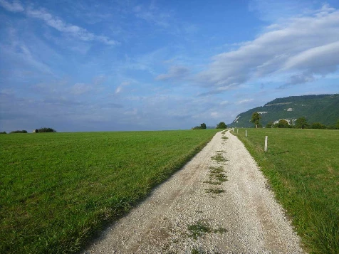 Chemins de Compostelle : Genève - St Genix sur G - Photo 10