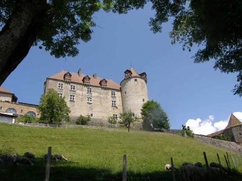 Balcons de Gruyère en Liberté - Photo 11