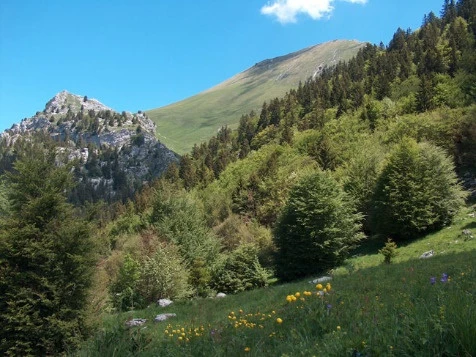Tour des Bauges en liberté - Photo 1