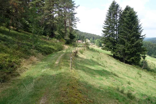 Chemins de Compostelle : Genève -  Le Puy - Photo 11