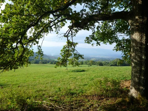Chemins de Compostelle : Genève -  Le Puy - Photo 6