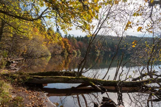 Stevenson : du Puy a Chasserades - Photo 1