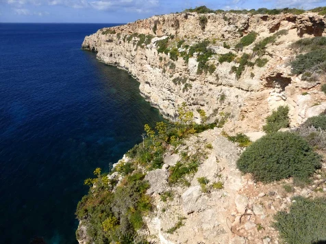 Malte en Liberté - Photo 4