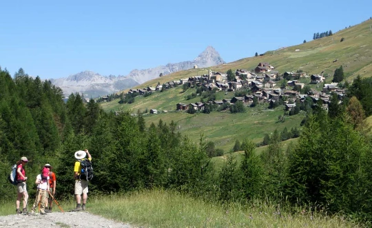 Queyras en liberté avec un âne - Photo 4