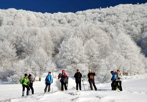 Raquettes douces en Chartreuse - Photo 4
