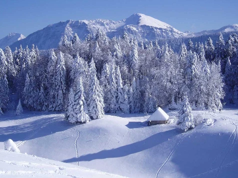 Tour des Bauges en Liberté - Photo 1