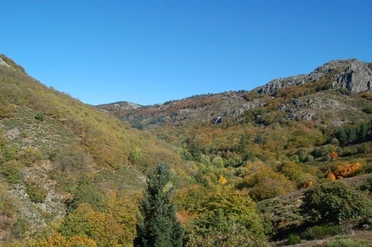 Caroux en Liberté - Photo 7