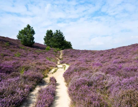 Caroux en Liberté - Photo 11