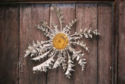 Aveyron en Famille - Photo 4