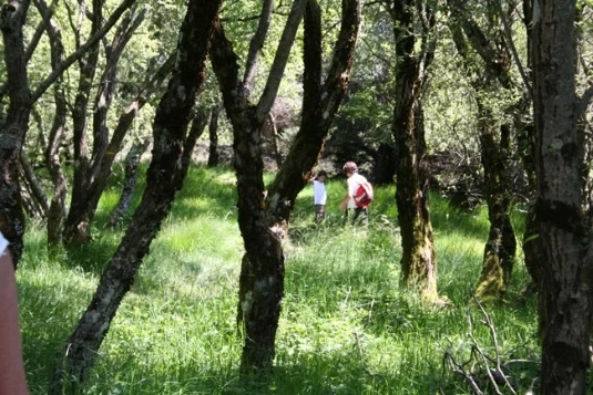 Aveyron en Famille - Photo 8