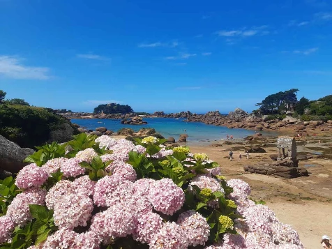 La Côte de Granit Rose en Liberté - Photo 12