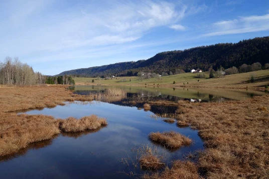 Traversée du Jura en Liberté - Photo 6