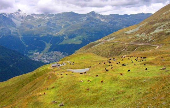 Chamonix - Zermatt en liberté - Photo 6