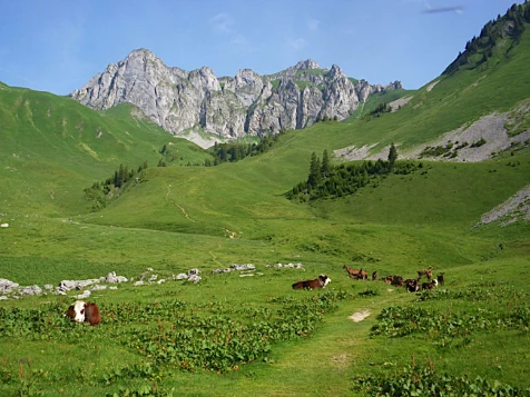 Traversée du Chablais en liberté - Photo 6