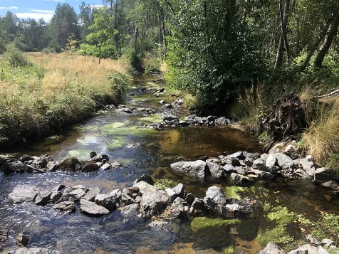 Retrouvance® : Millevaches - Photo 16