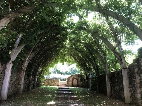 Retrouvance® : Millevaches - Photo 1