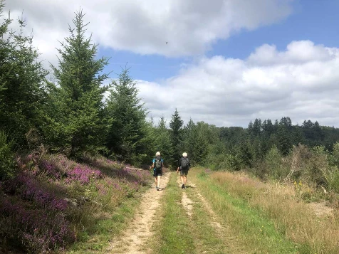 Retrouvance® : Millevaches - Photo 12