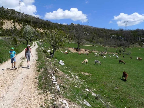 Tour des Gorges du Verdon en liberté - Photo 3