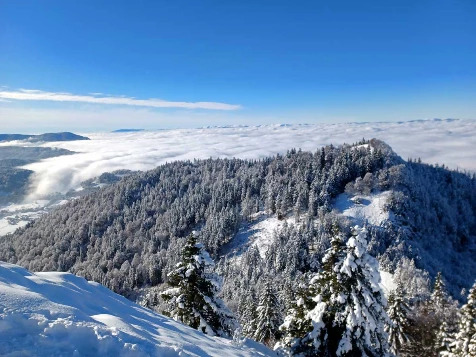 WE Réveillon Chablais - Léman - Photo 7