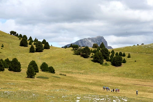 Nomades en Diois avec un âne - Photo 5