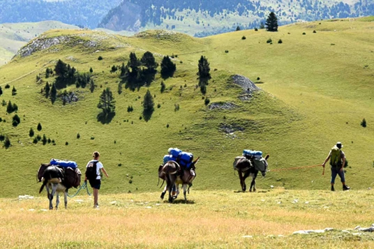 Nomades en Diois avec un âne - Photo 8