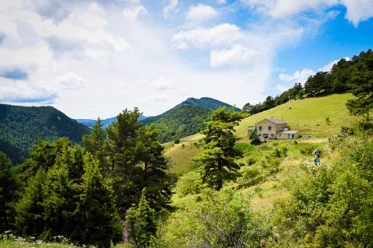 Nomades en Diois avec un âne - Photo 1