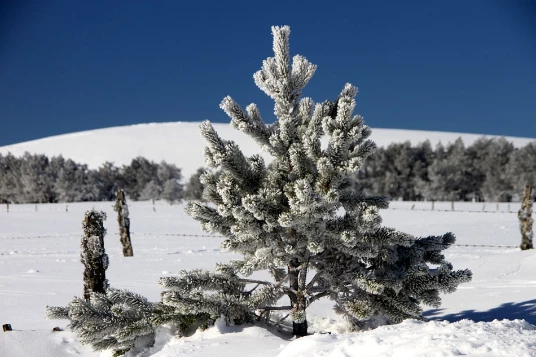 WE Réveillon en Auvergne - Photo 2