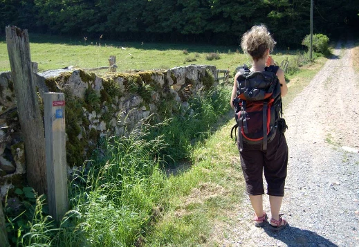 Chemins de Compostelle : Charlieu - Montbrison - Photo 2