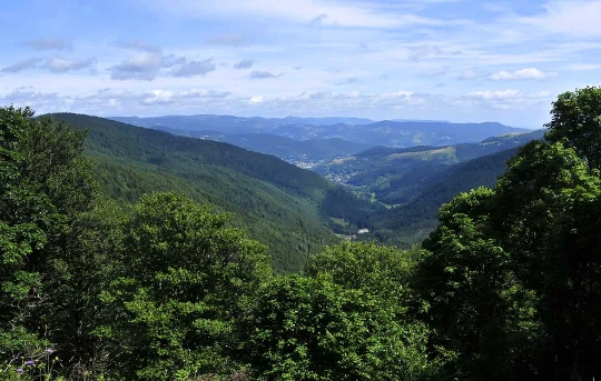 Tour des Hautes Vosges en liberté - Photo 2