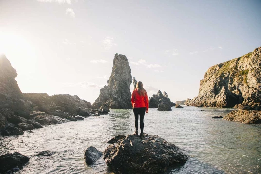 Belle île en étoile en liberté - Photo 2