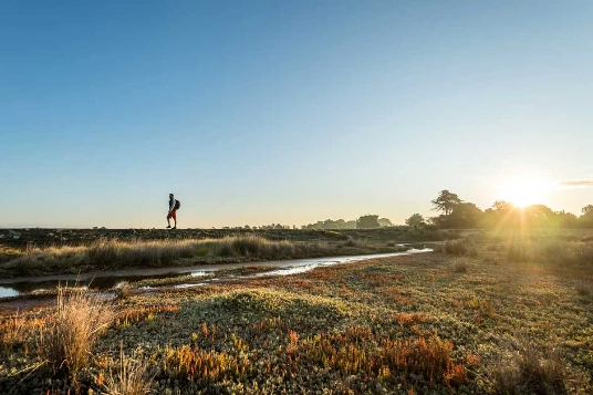 Golfe du Morbihan et ses îles - Photo 2