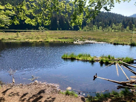 Rando & Bien Etre dans les Hautes Vosges - Photo 2