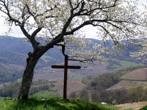 Tour du Beaujolais en Liberté - Photo 2