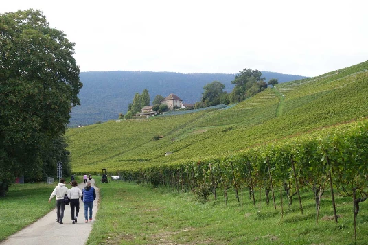 Sur les Pas des Huguenots : Yverdon - Soleure (Suisse) - Photo 2