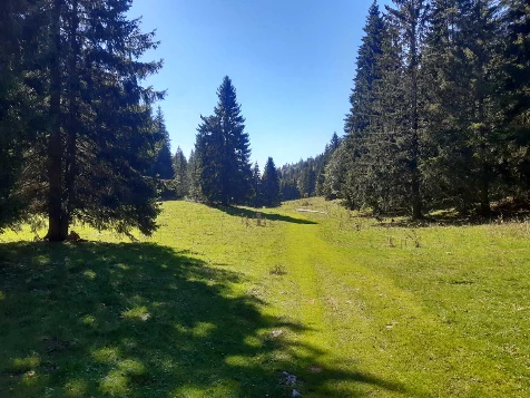Traversée du Jura en Liberté - Photo 2