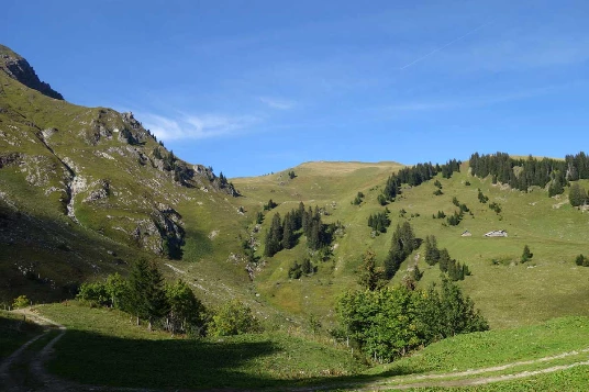 Traversée du Chablais en liberté - Photo 2
