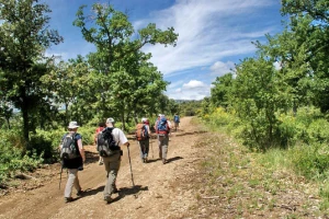Lubéron en liberté - Photo 2