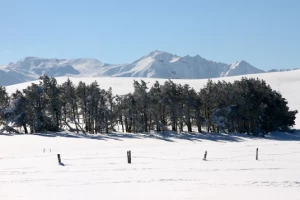 WE Réveillon en Auvergne - Photo 3