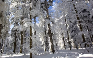 Cocktail Neige dans le Vercors - Photo 1